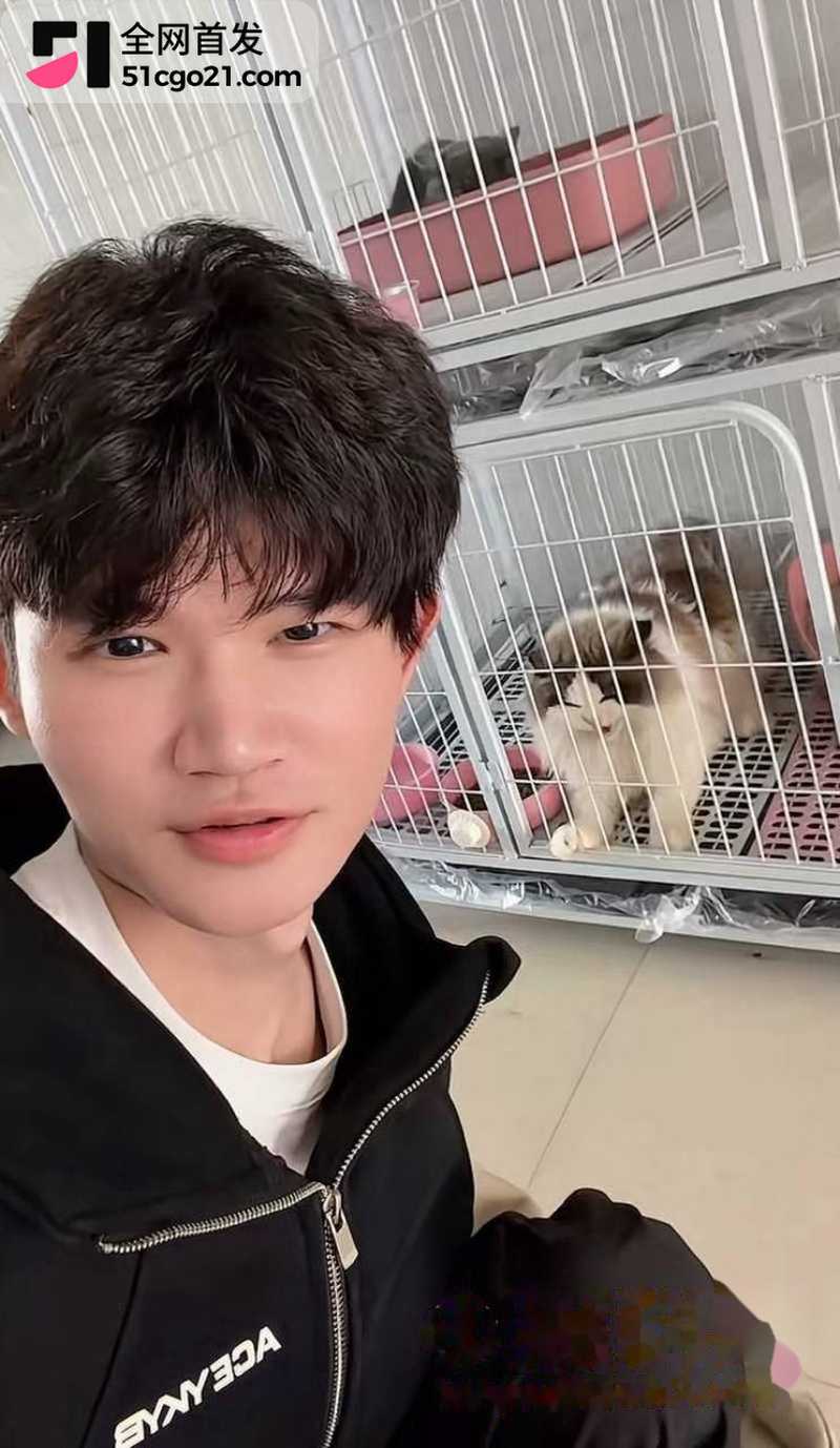 抖音训猫博主 小峰 2 抖音训猫博主 小峰 2