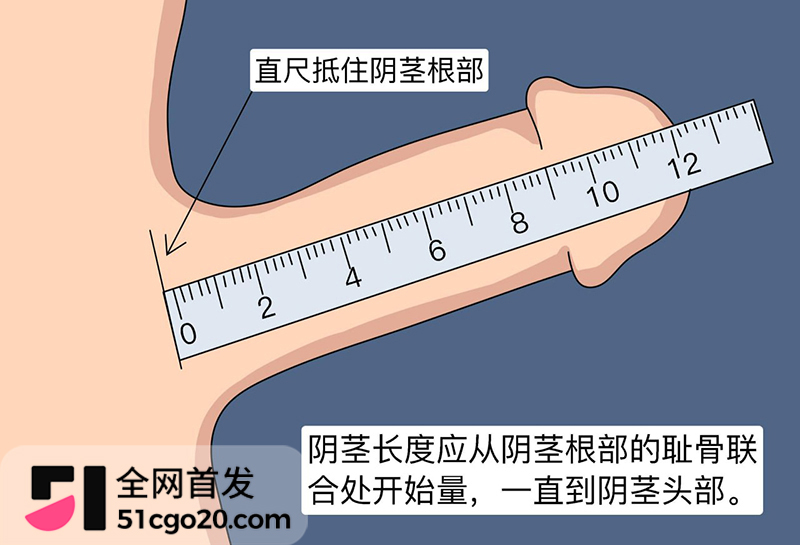 各省男性丁丁长度排行榜引爆全网 4 拷贝 各省男性丁丁长度排行榜引爆全网 4 拷贝
