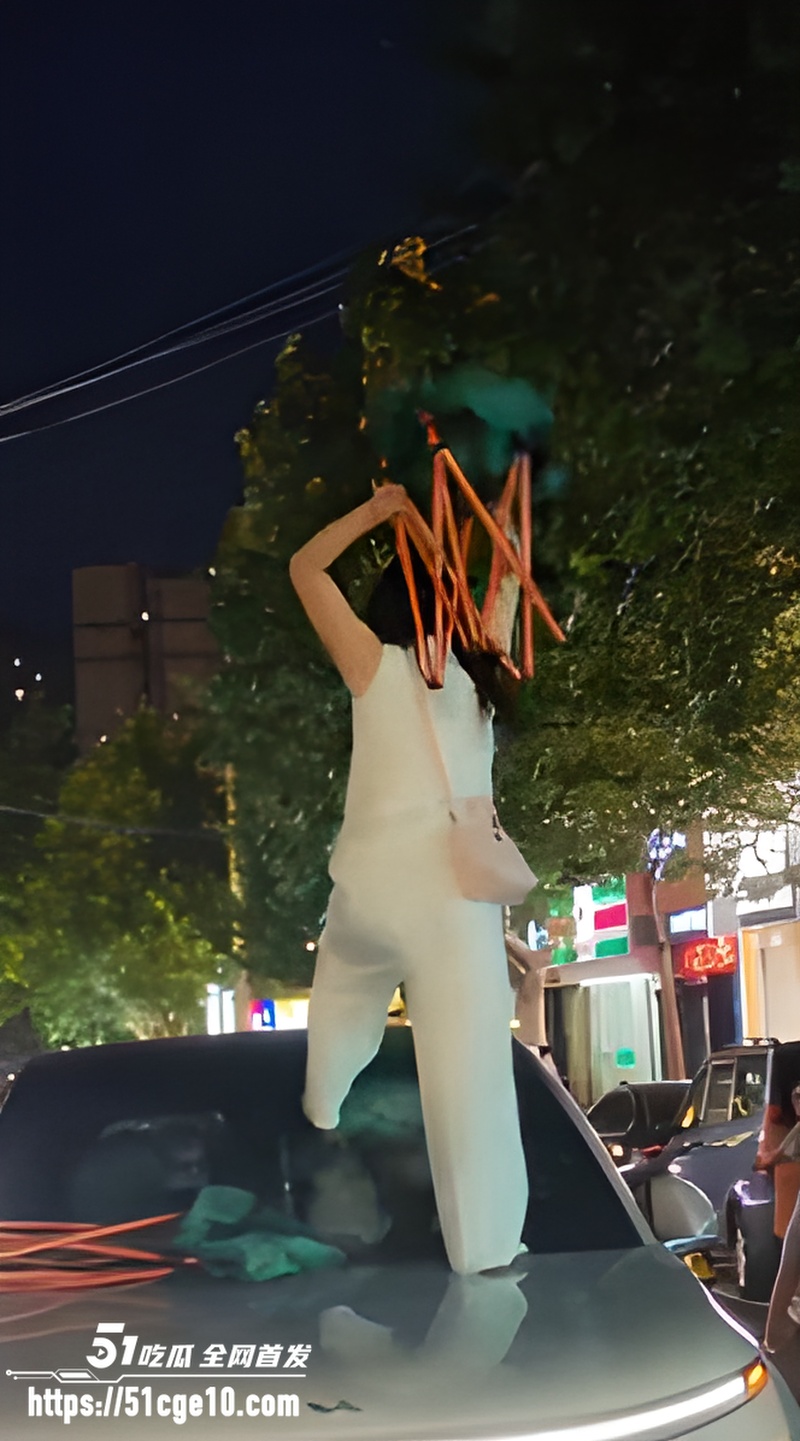 陕西洛南抓奸事件 4 陕西洛南抓奸事件 4