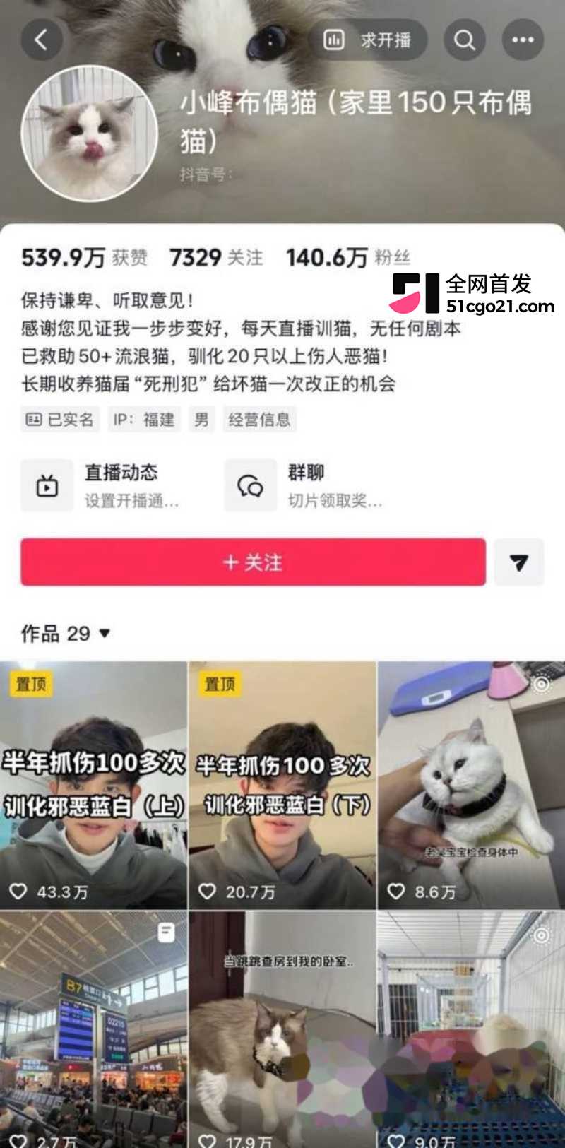 抖音训猫博主 小峰 1 抖音训猫博主 小峰 1