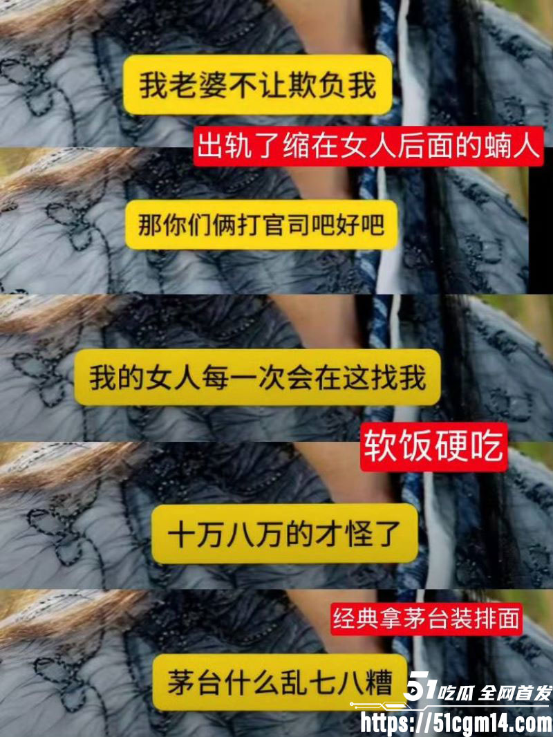 天龙八部慕容复修庆14分钟录音流出 13 天龙八部慕容复修庆14分钟录音流出 13