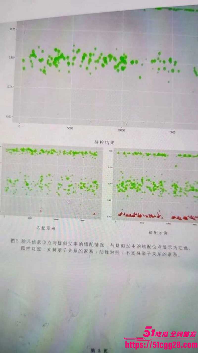 广发基金总经理杨冬被女分析师谭珺曝光028 广发基金总经理杨冬被女分析师谭珺曝光028