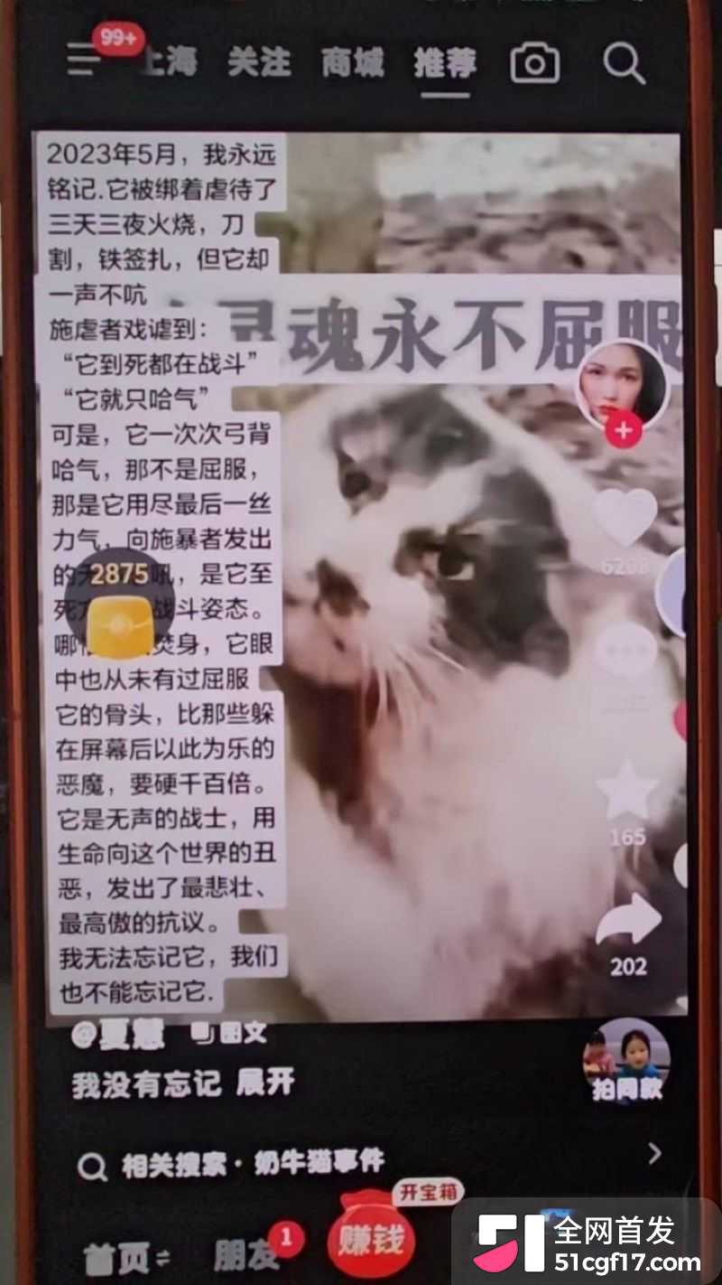 虐猫狂人杰克辣条遭女暴徒线下真实 13 虐猫狂人杰克辣条遭女暴徒线下真实 13