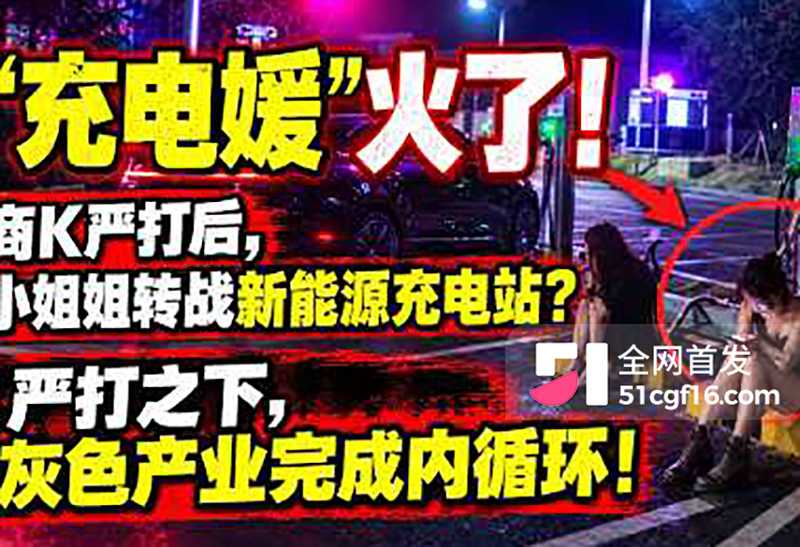 充电媛曝光翻车 1 拷贝