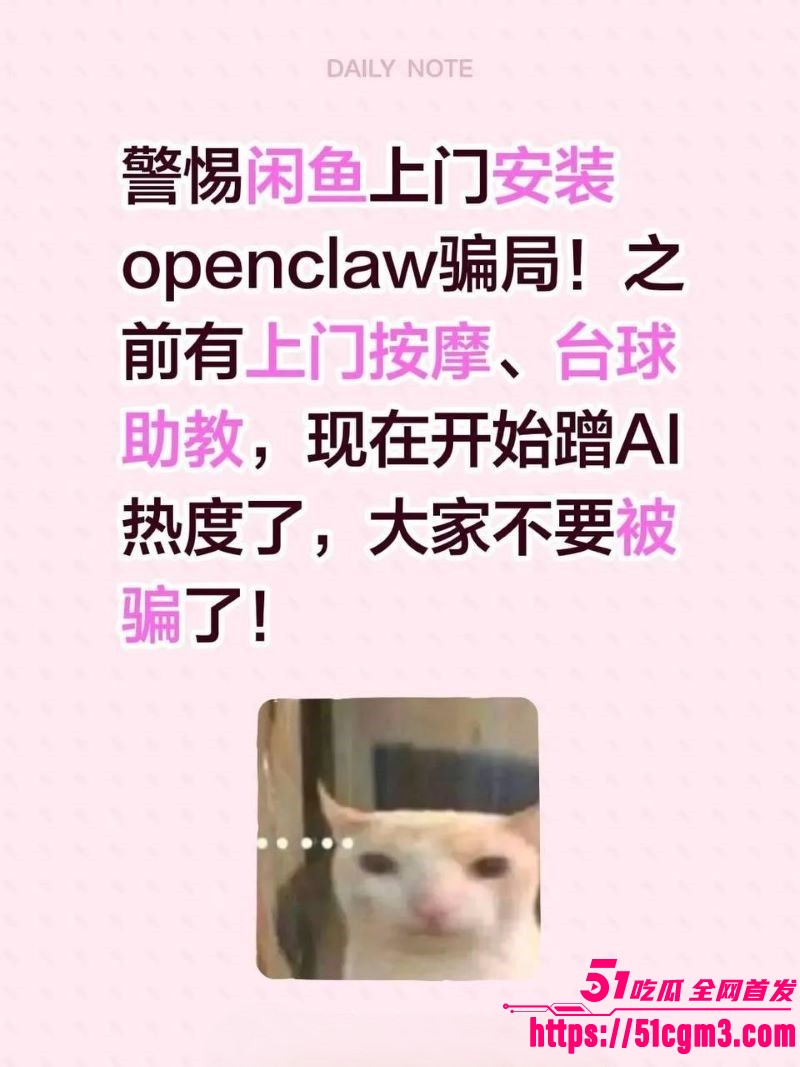 OpenClaw上门安装暗藏玄机 4 OpenClaw上门安装暗藏玄机 4