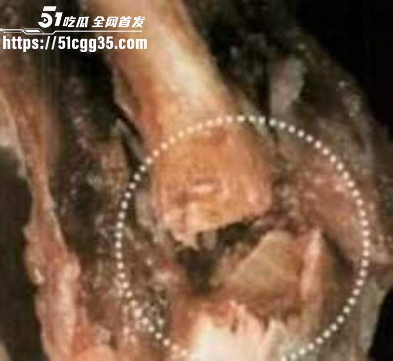 爱泼斯坦萝莉岛图片曝光030 爱泼斯坦萝莉岛图片曝光030