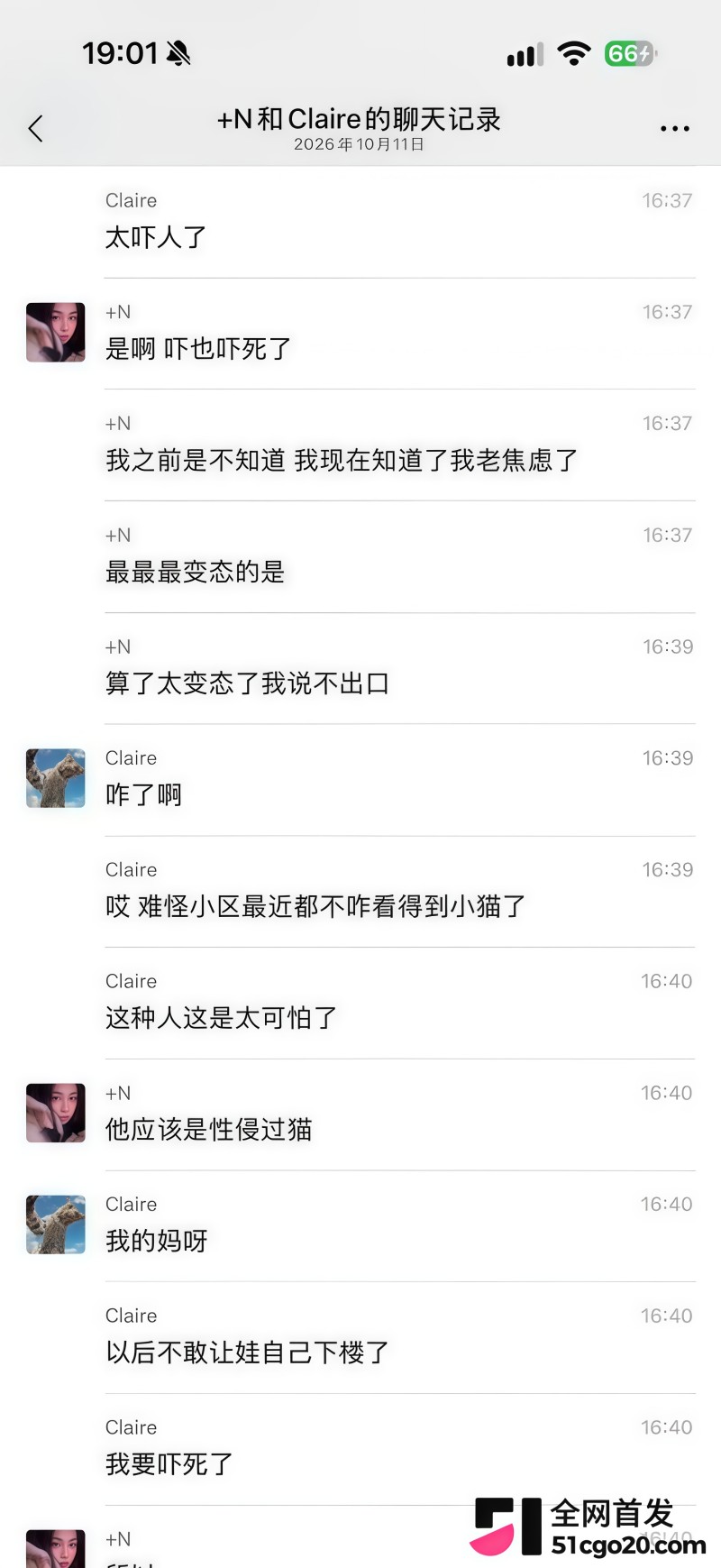 上海男子王英举涉嫌虐猫事件 8