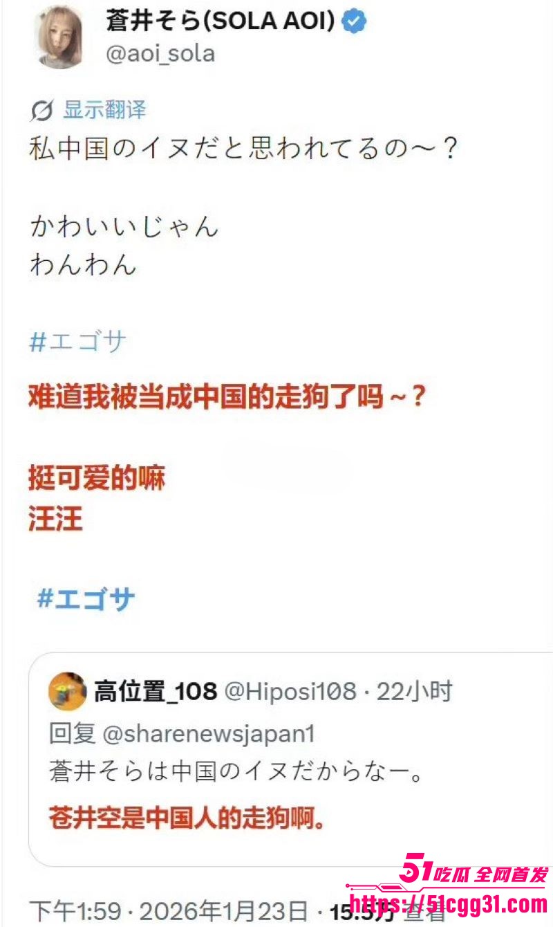 日本女优苍井空被日本人辱骂中国人的狗 13 日本女优苍井空被日本人辱骂中国人的狗 13