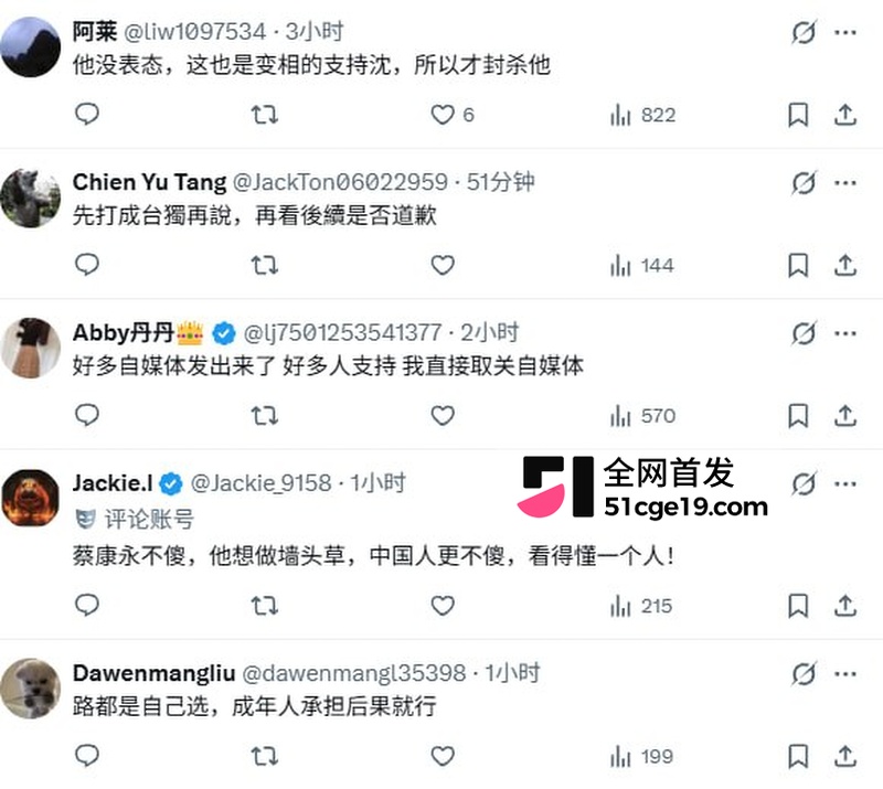 蔡康永现身台独分子竞选会场11 蔡康永现身台独分子竞选会场11
