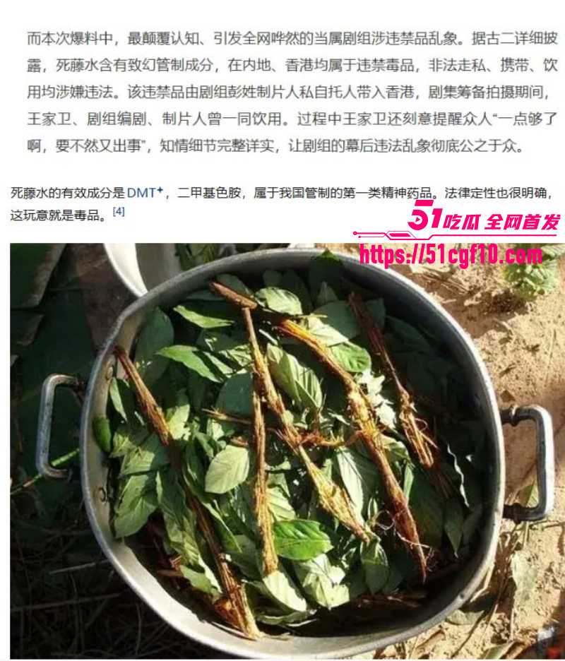 繁花剧组古二最新录音曝光013 繁花剧组古二最新录音曝光013