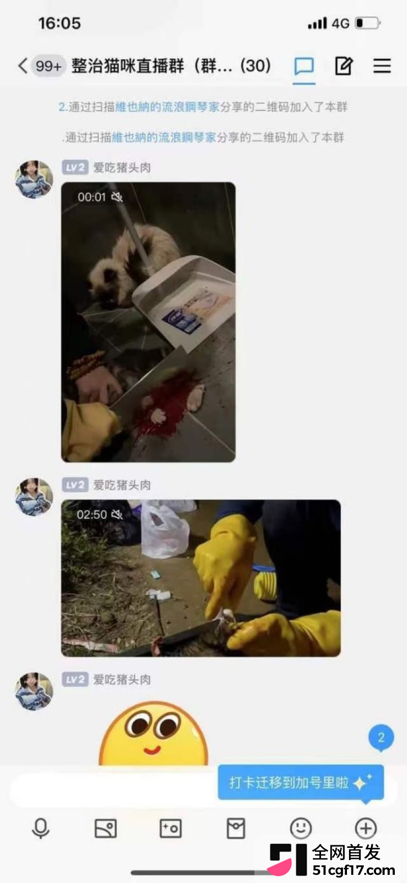虐猫狂人杰克辣条遭女暴徒线下真实 15 虐猫狂人杰克辣条遭女暴徒线下真实 15