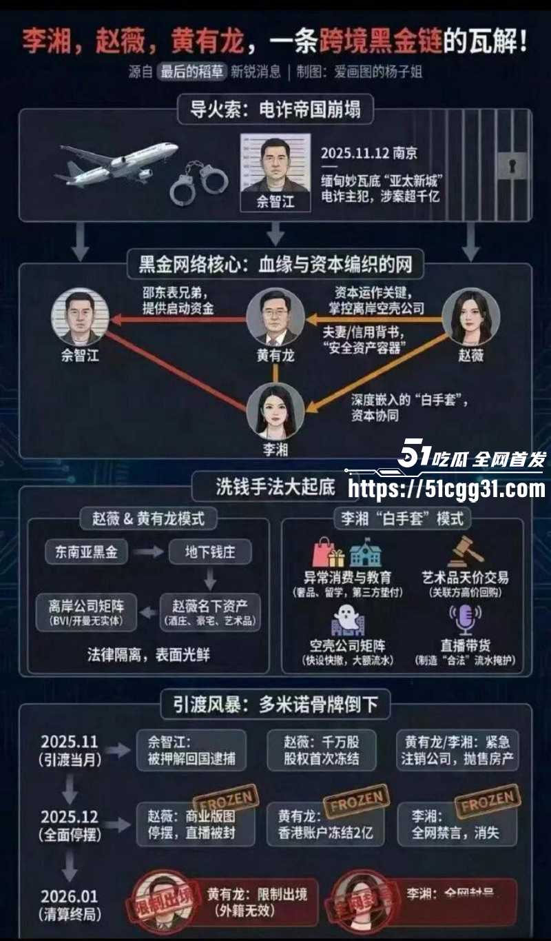 东南亚诈骗园区赵薇李湘洗钱事件021 东南亚诈骗园区赵薇李湘洗钱事件021