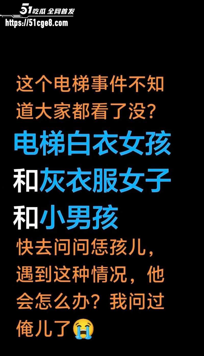 湖北仙桃电梯打人事件010 湖北仙桃电梯打人事件010