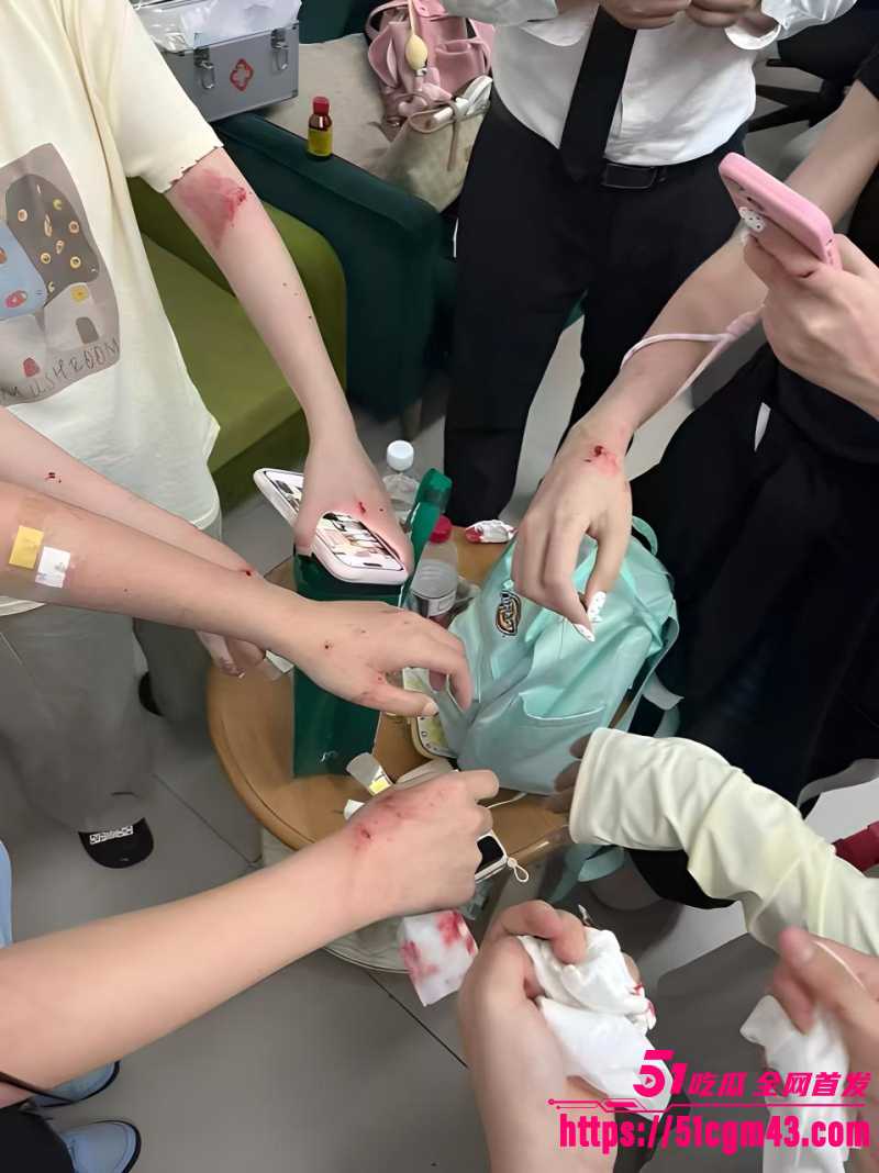 凌赫女粉丝彻底疯狂 5 凌赫女粉丝彻底疯狂 5