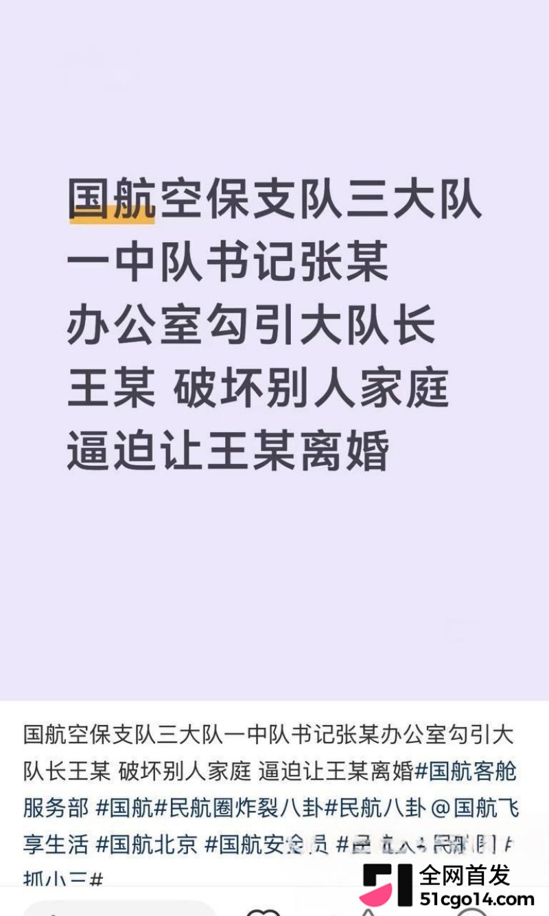 国航空保大队长王成林被实名举报 12 国航空保大队长王成林被实名举报 12