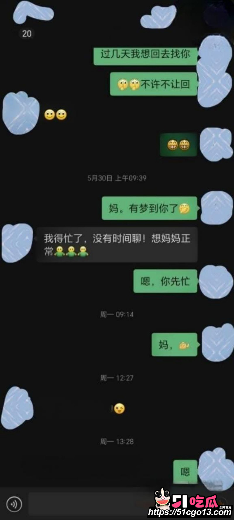 甘肃母子双排大瓜09 甘肃母子双排大瓜09