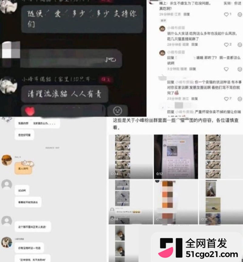 2222群聊虐猫言论与猫图enhanced 2222群聊虐猫言论与猫图enhanced