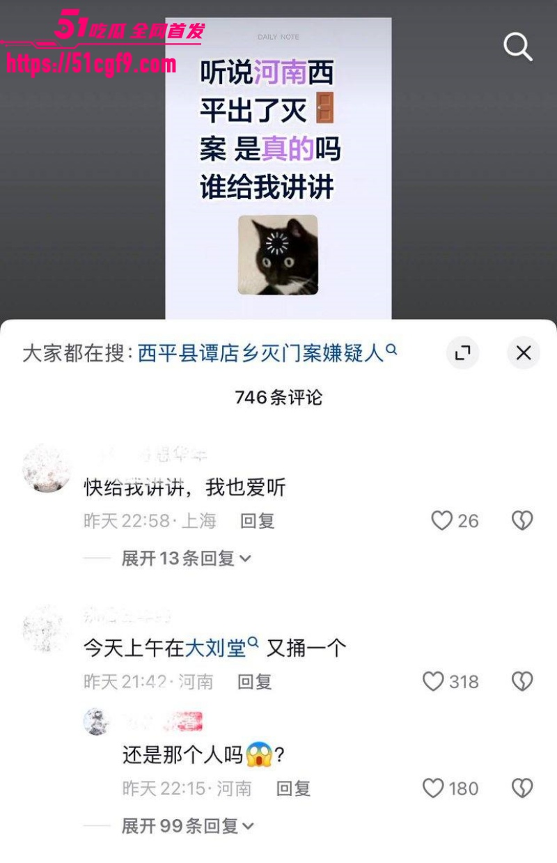 河南西平县重大刑案 26 河南西平县重大刑案 26