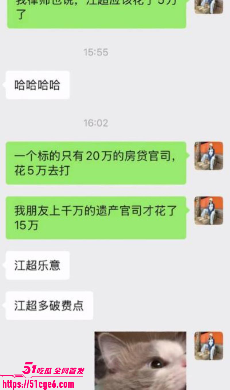 网红包子别吃前夫江超出轨丑闻 15 网红包子别吃前夫江超出轨丑闻 15