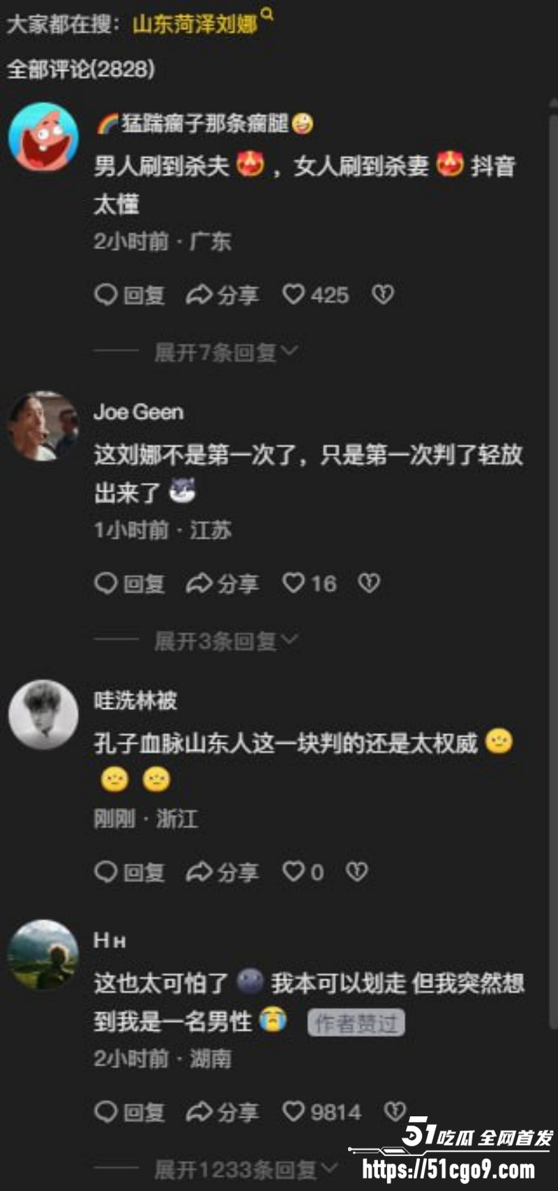 山东菏泽刘娜杀夫案017 山东菏泽刘娜杀夫案017