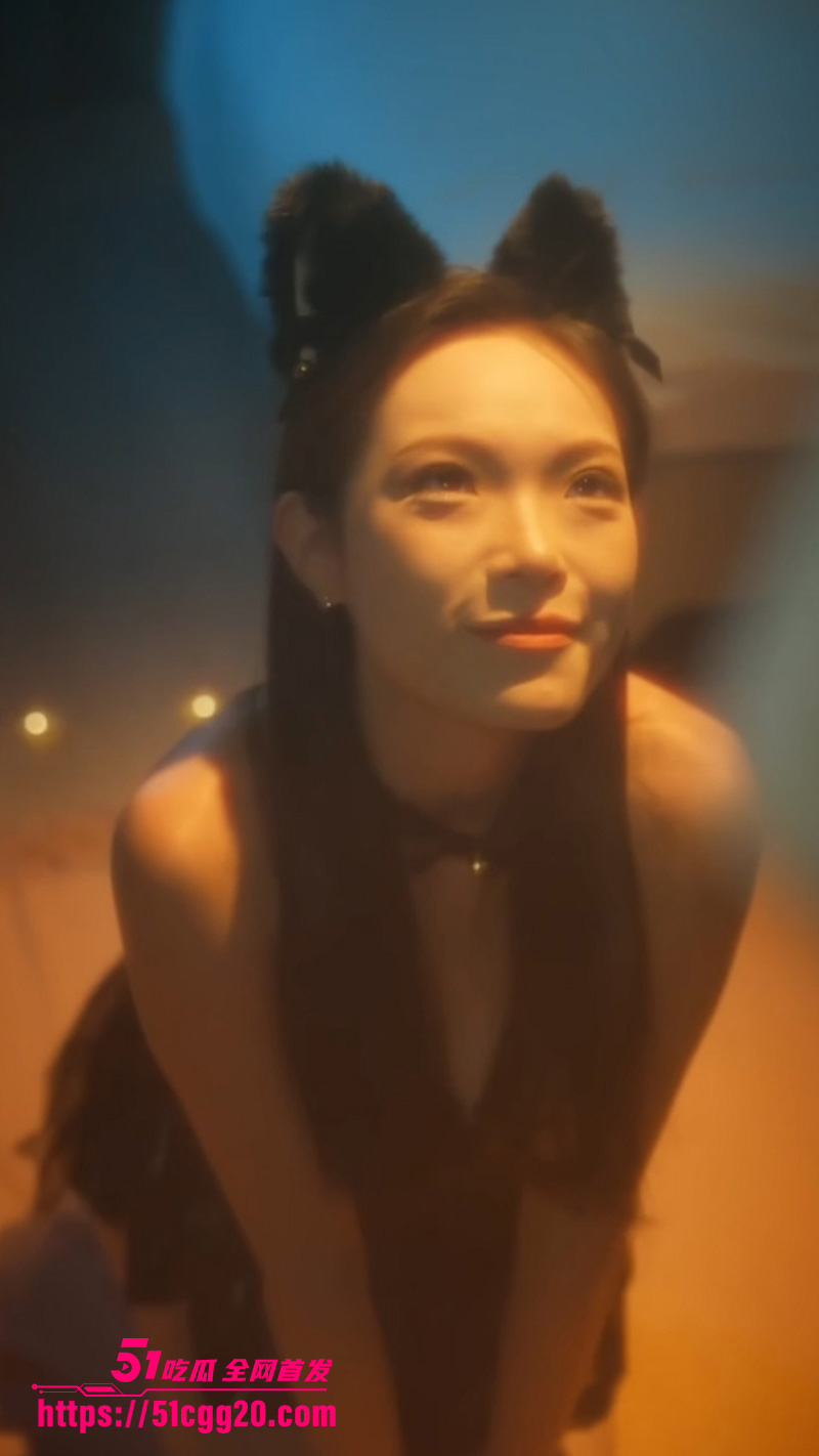 猫猫诱惑 猫猫诱惑