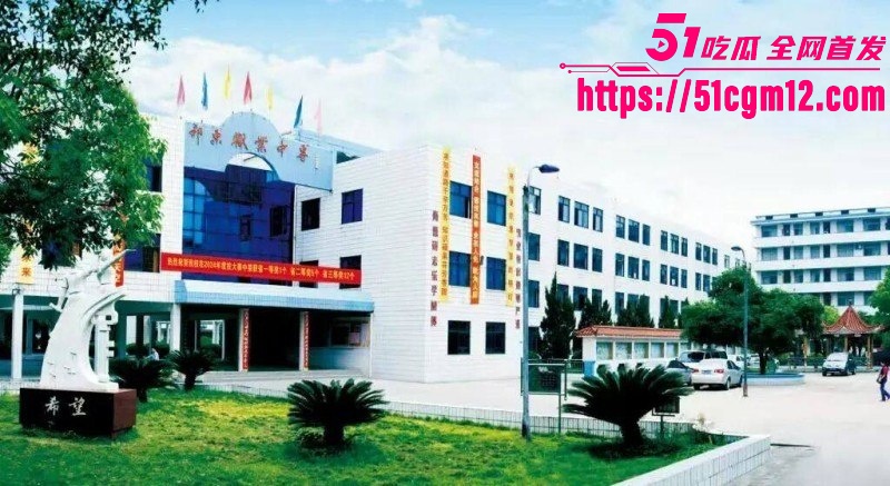 湖南祁东职校95后女老师徐西婷下海卖片026 湖南祁东职校95后女老师徐西婷下海卖片026