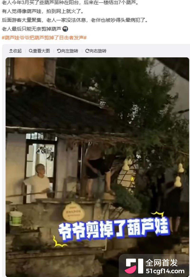 浙江葫芦娃爷爷亲手剪掉7个葫芦 10