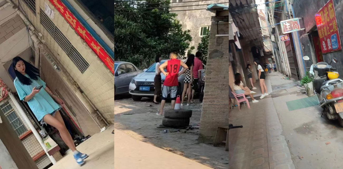 下载 19 下载 19