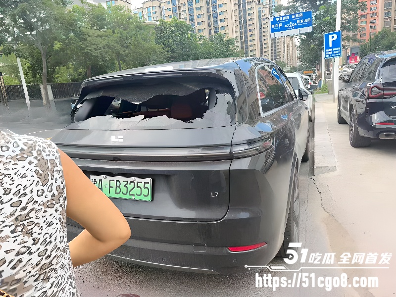 河南郑州男子无故砸车6 河南郑州男子无故砸车6