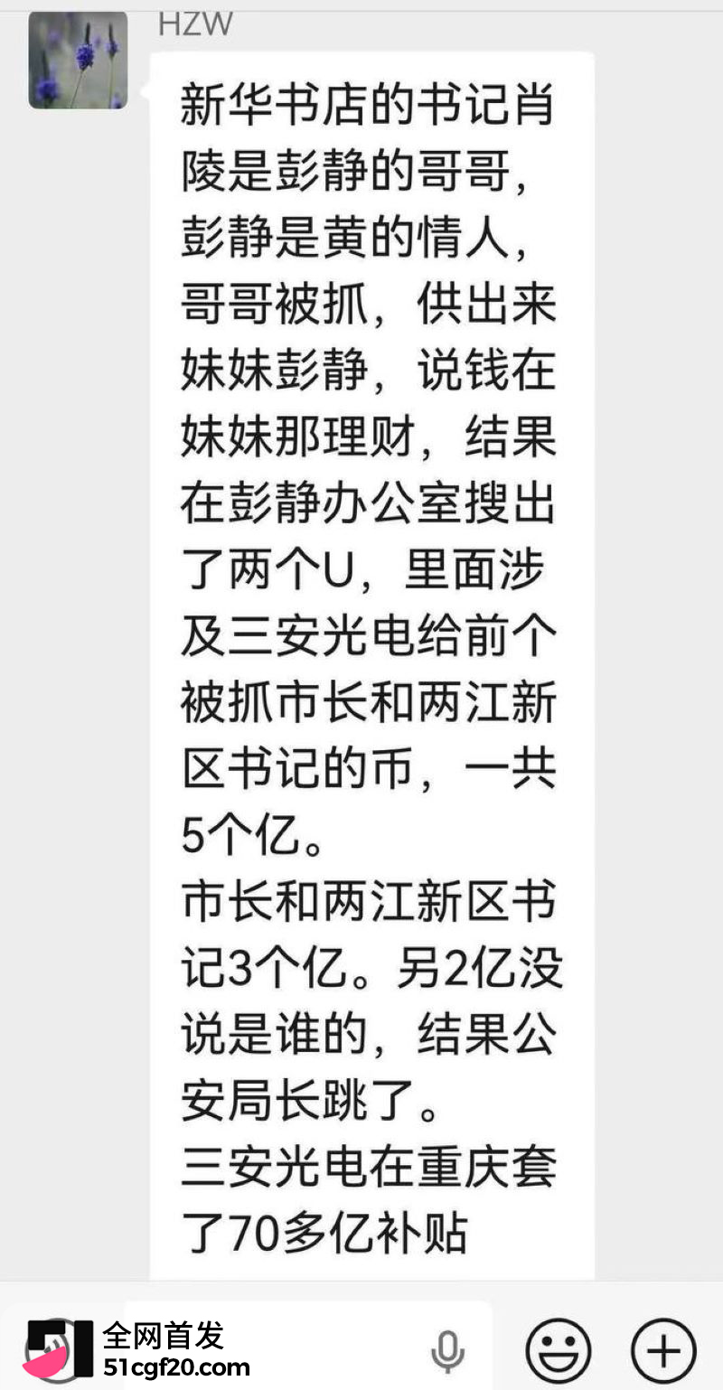 重庆原市长黄奇帆卸任近十年后被查 16 重庆原市长黄奇帆卸任近十年后被查 16