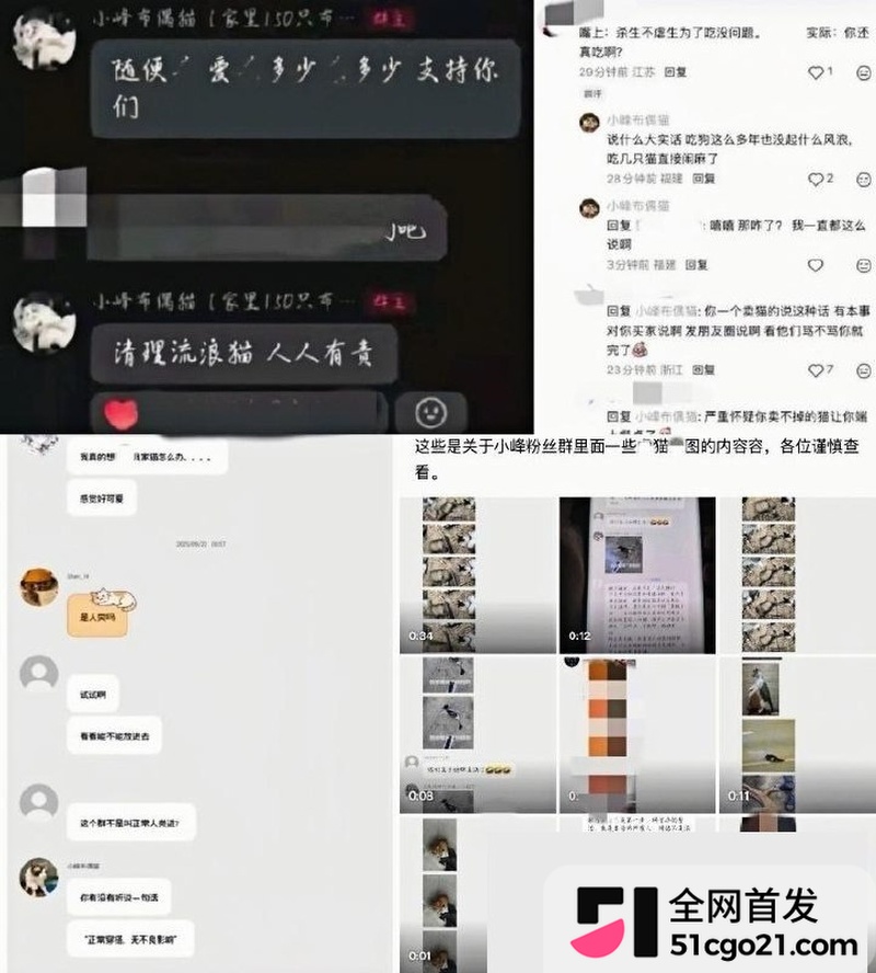 2323群聊虐猫言论重复enhanced 2323群聊虐猫言论重复enhanced